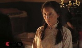 电影灵与肉在线观看,探寻人性深处的情感纠葛