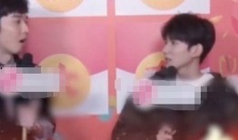 明星最怕什么爆料呢视频